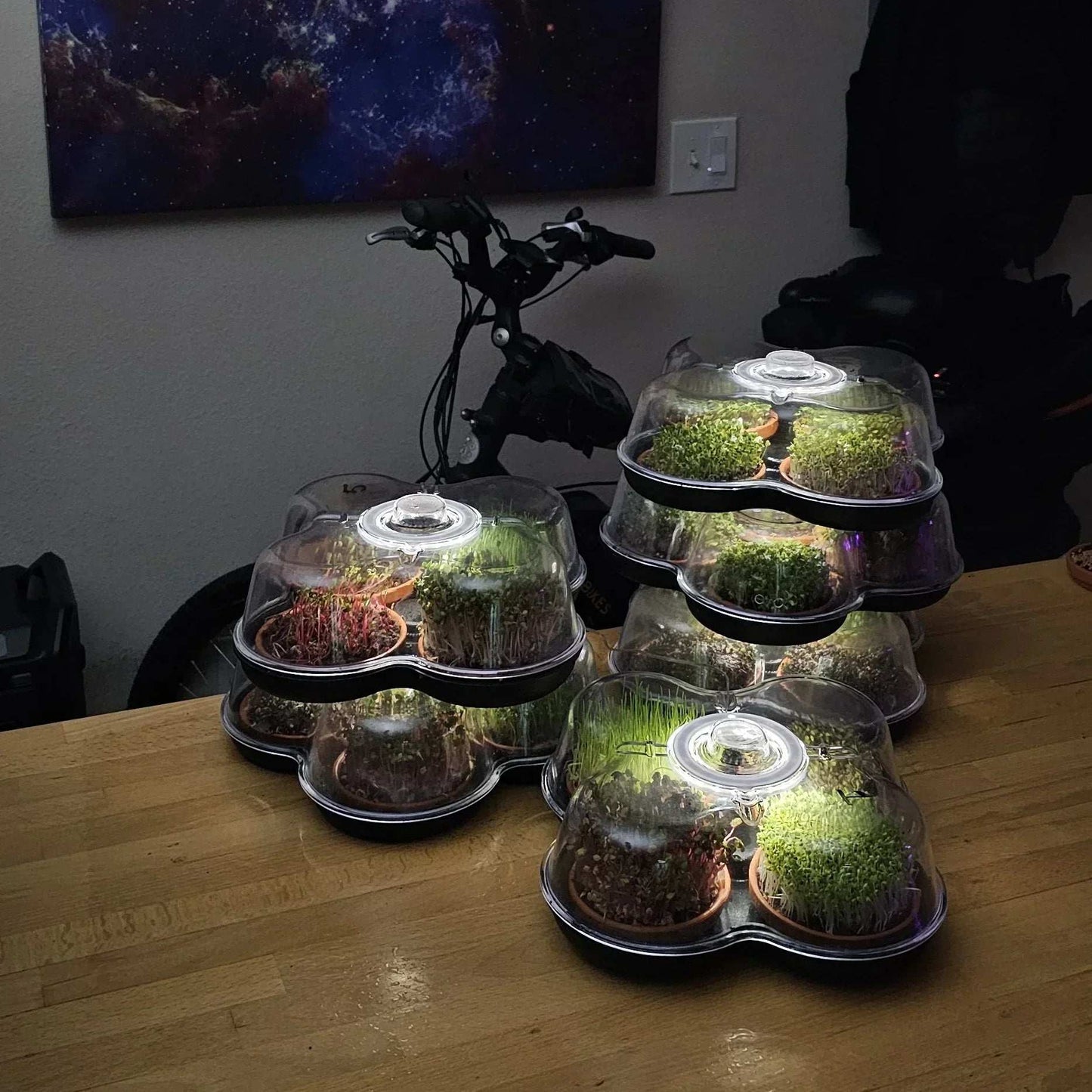 MicroGrow Duo - 2 Pod System 🌱🌱 Double the Beauty! Double the Fresh!