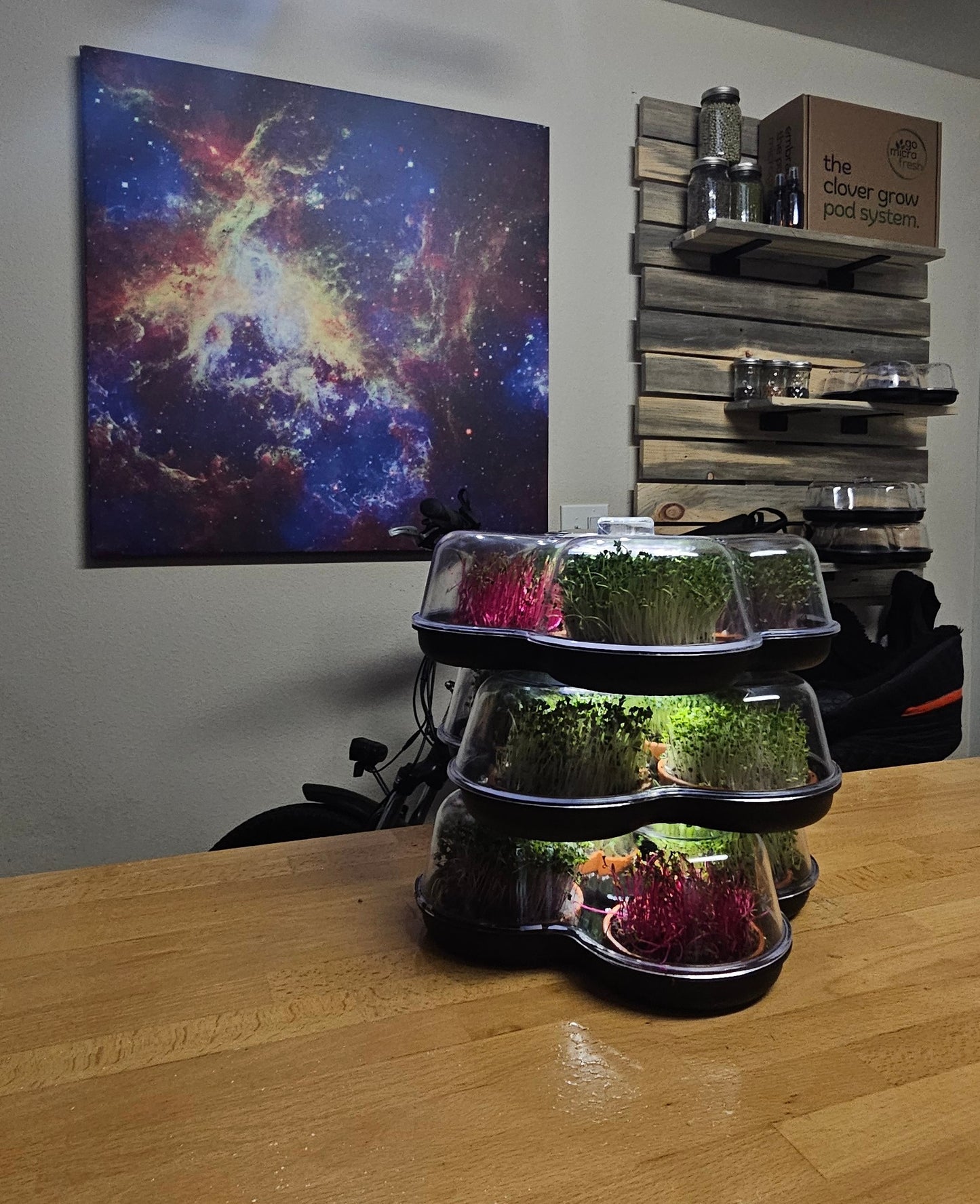 MicroGrow Trio - 3 Pod System 🌱🌱🌱 Simply Beautiful! Up Level Freshness!