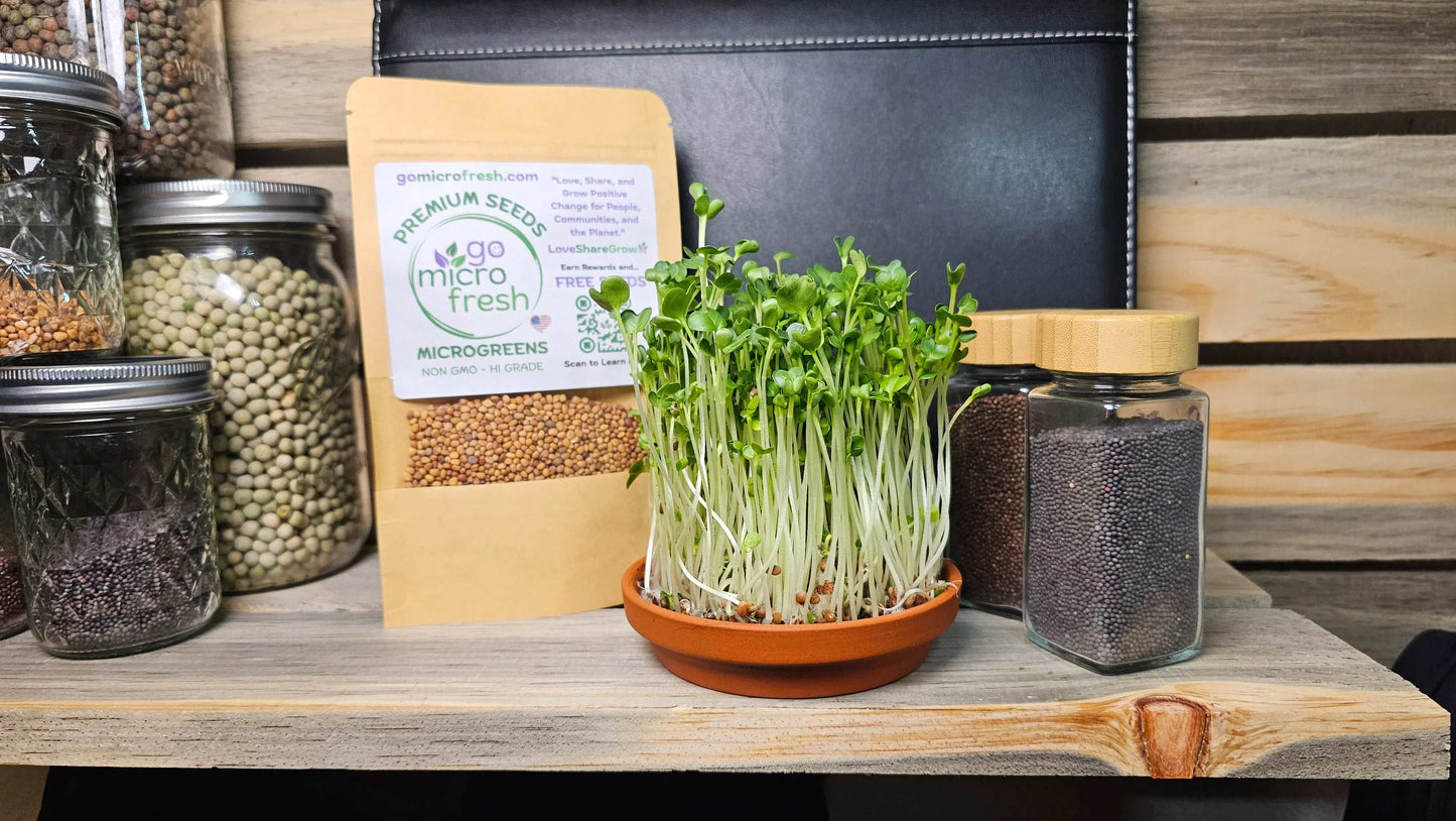 1 oz. Daikon Radish Microgreens Seeds – Crisp, Spicy & Cleansing