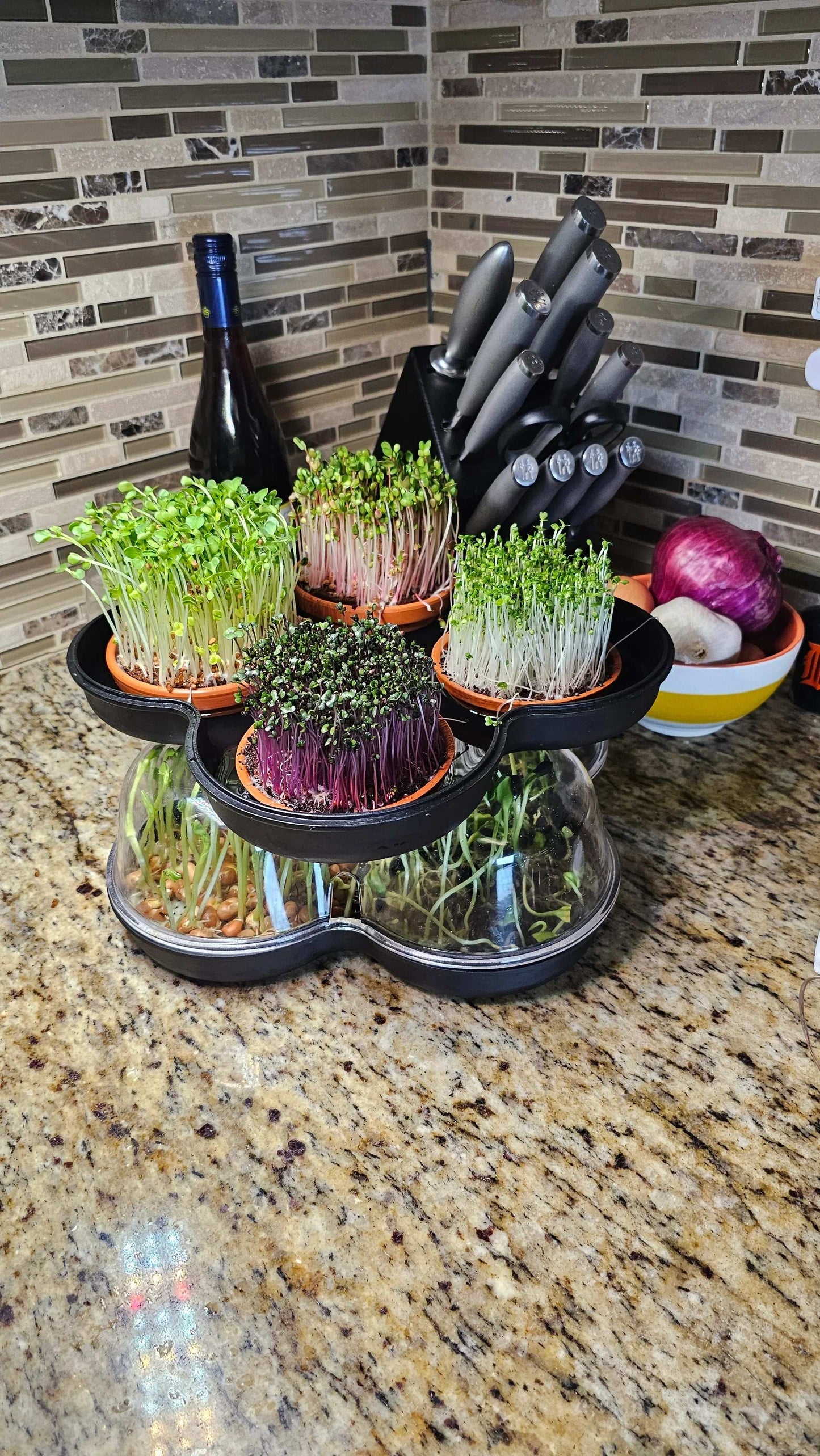 MicroGrow Duo - 2 Pod System 🌱🌱 Double the Beauty! Double the Fresh!