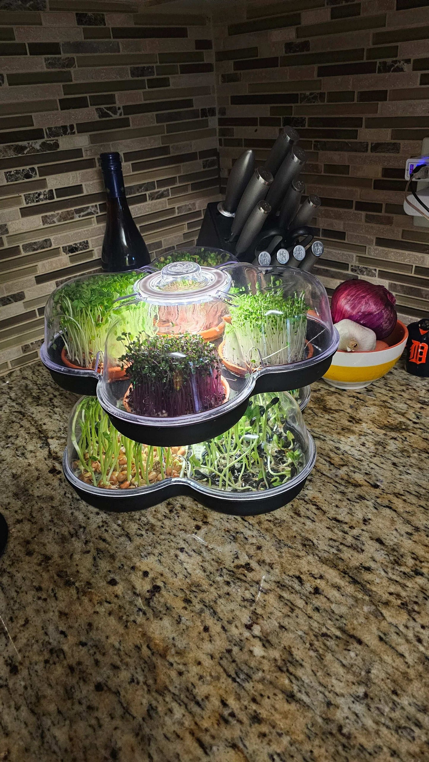 MicroGrow Duo - 2 Pod System 🌱🌱 Double the Beauty! Double the Fresh!