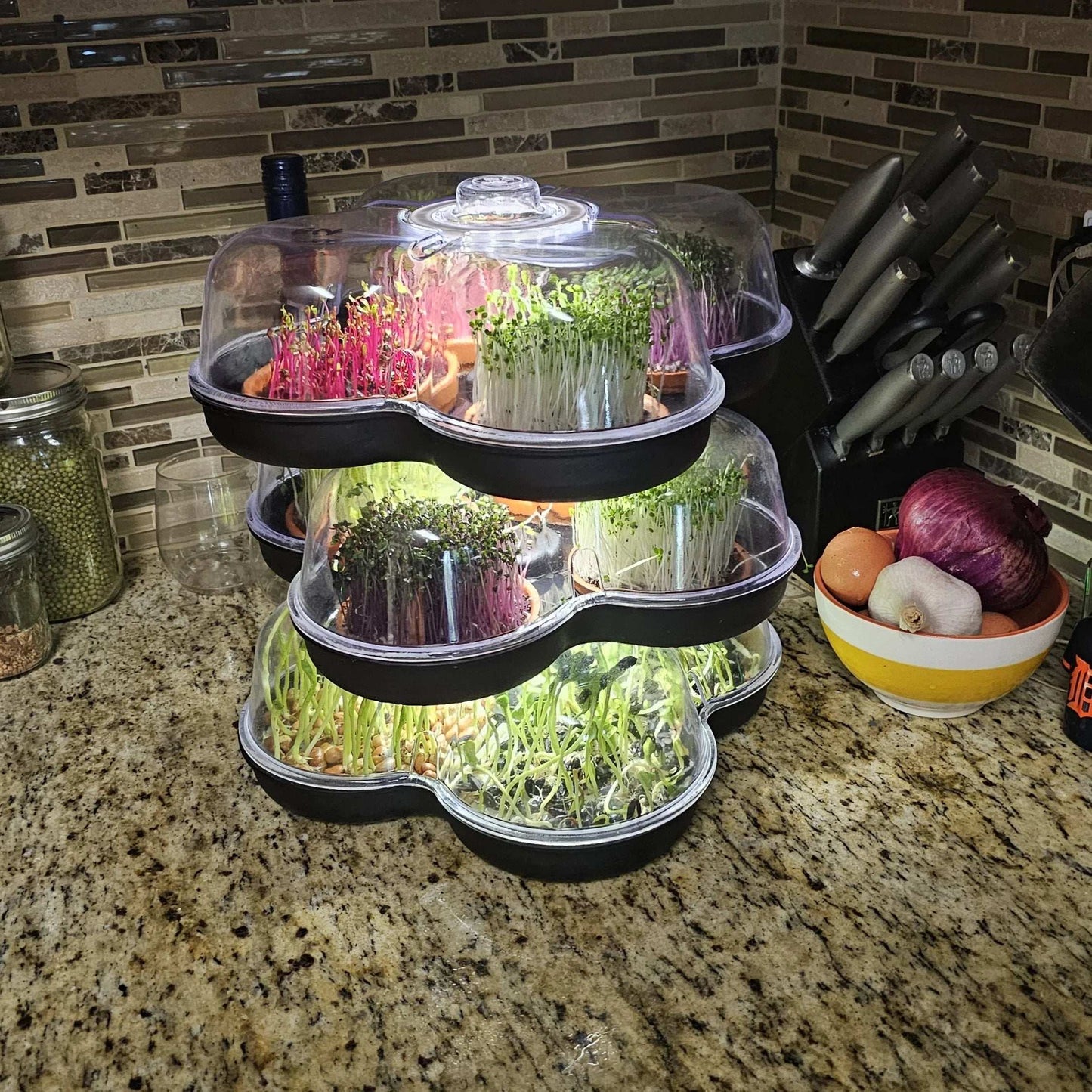 MicroGrow Trio - 3 Pod System 🌱🌱🌱 Simply Beautiful! Up Level Freshness!