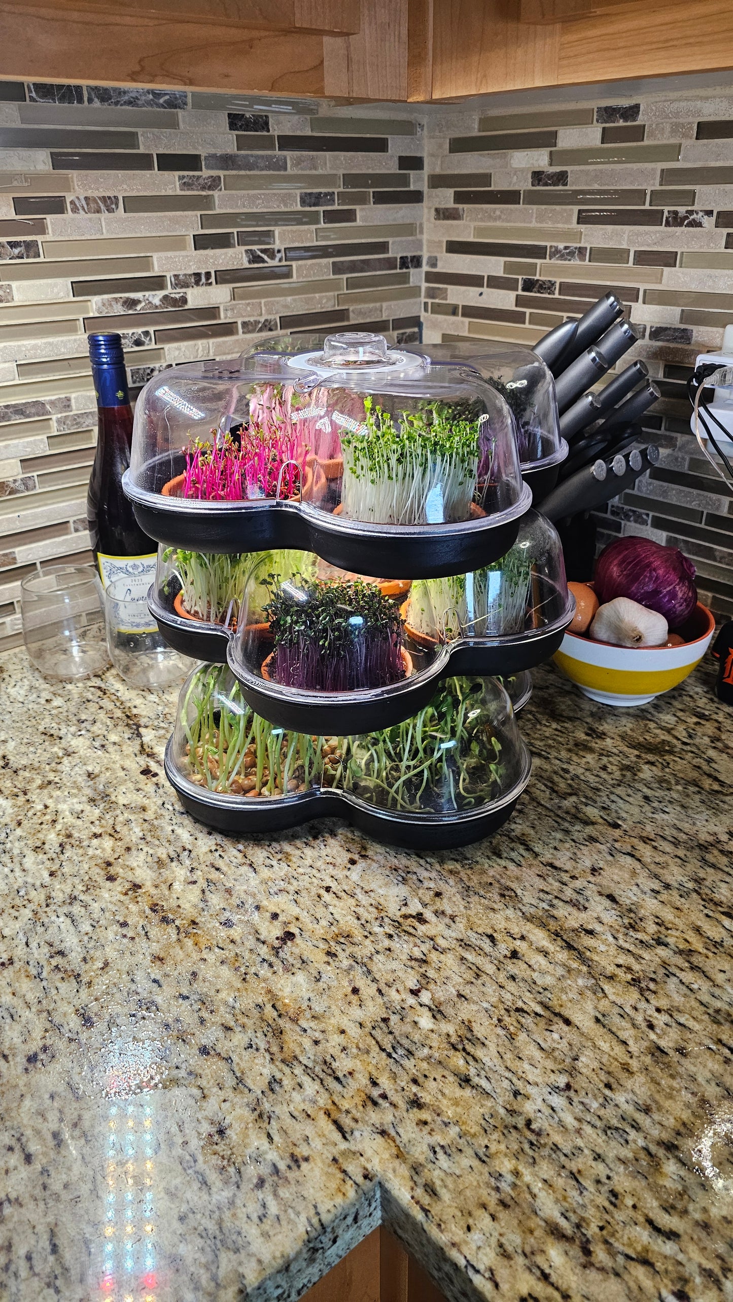 MicroGrow Trio - 3 Pod System 🌱🌱🌱 Simply Beautiful! Up Level Freshness!