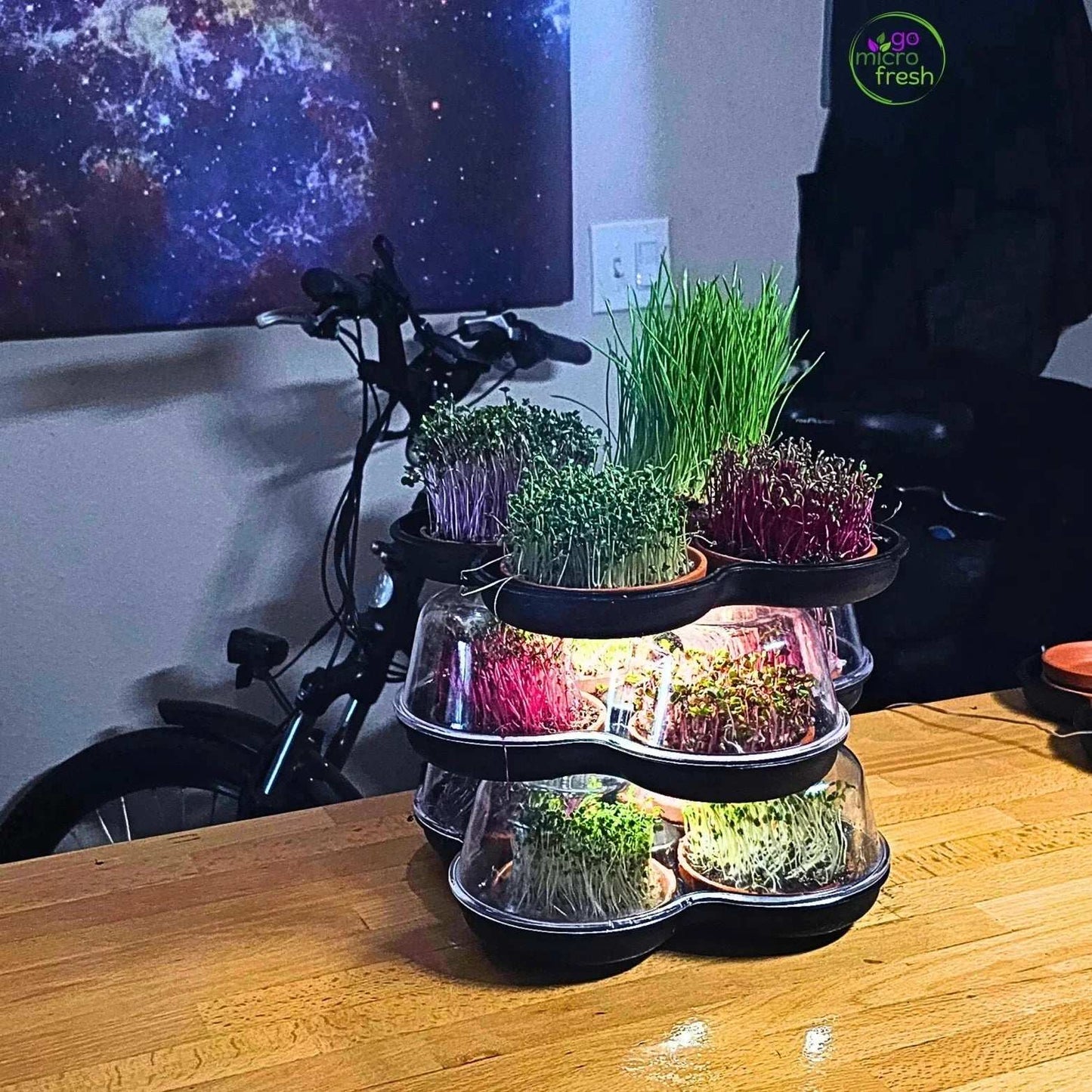 MicroGrow Trio - 3 Pod System 🌱🌱🌱 Simply Beautiful! Up Level Freshness!