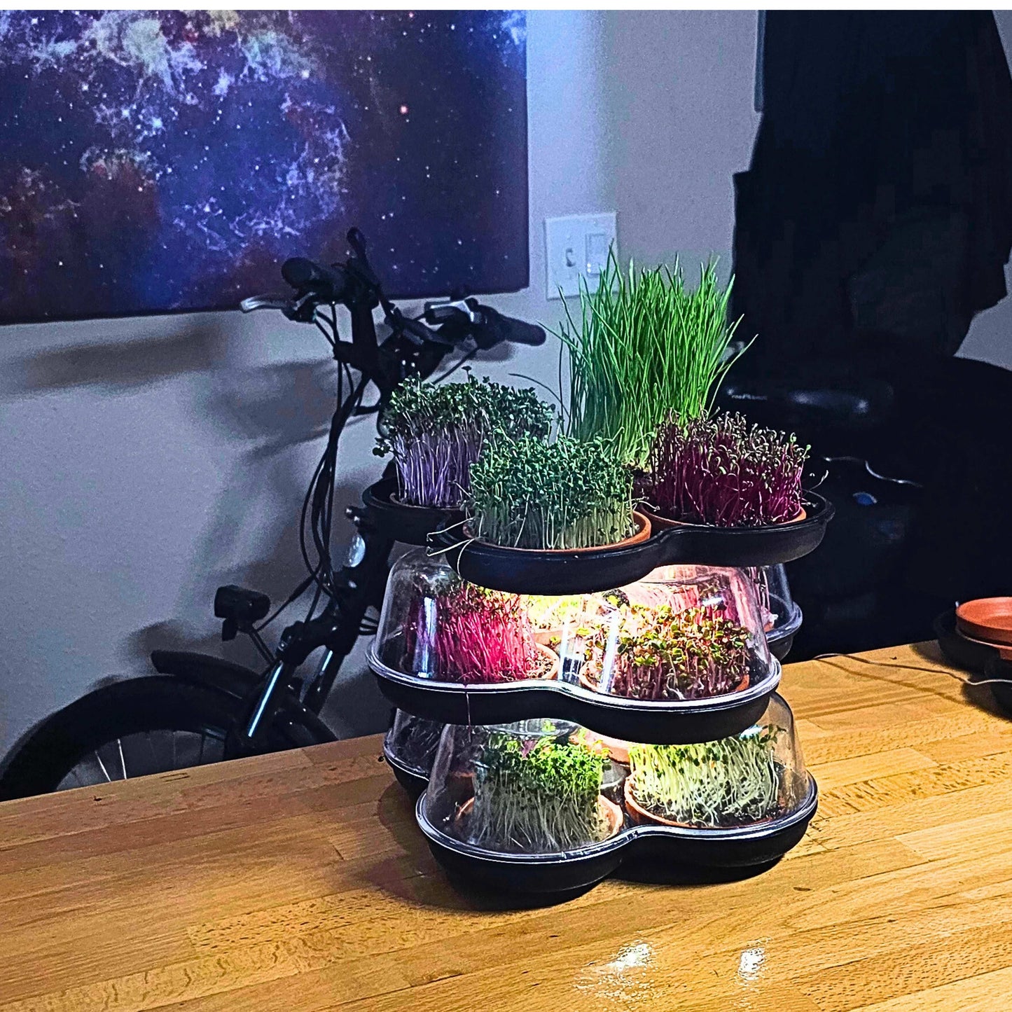 MicroGrow Solo - 1 Pod System 🌱 A Single Pod, A World of Fresh Possibilities!