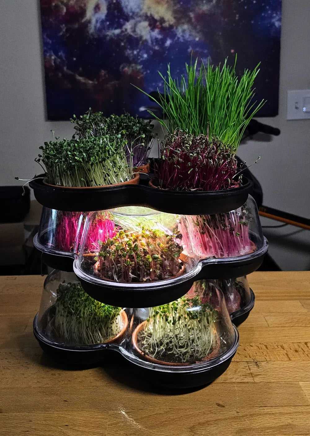 MicroGrow Trio - 3 Pod System 🌱🌱🌱 Simply Beautiful! Up Level Freshness!