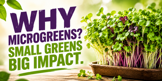 Why Microgreens? Small Greens. Powerful Nutrition. Grown Fresh at Home.