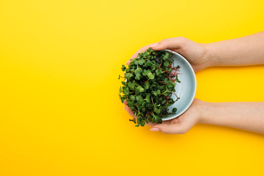 Unlock the Power of Sulforaphane in Microgreens | Anti-Cancer & Detox Benefits