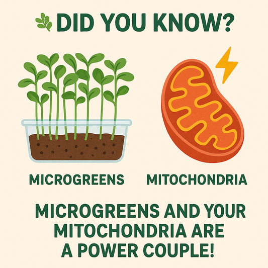 🌿 Did You Know? Microgreens and Your Mitochondria Are a Power Couple!