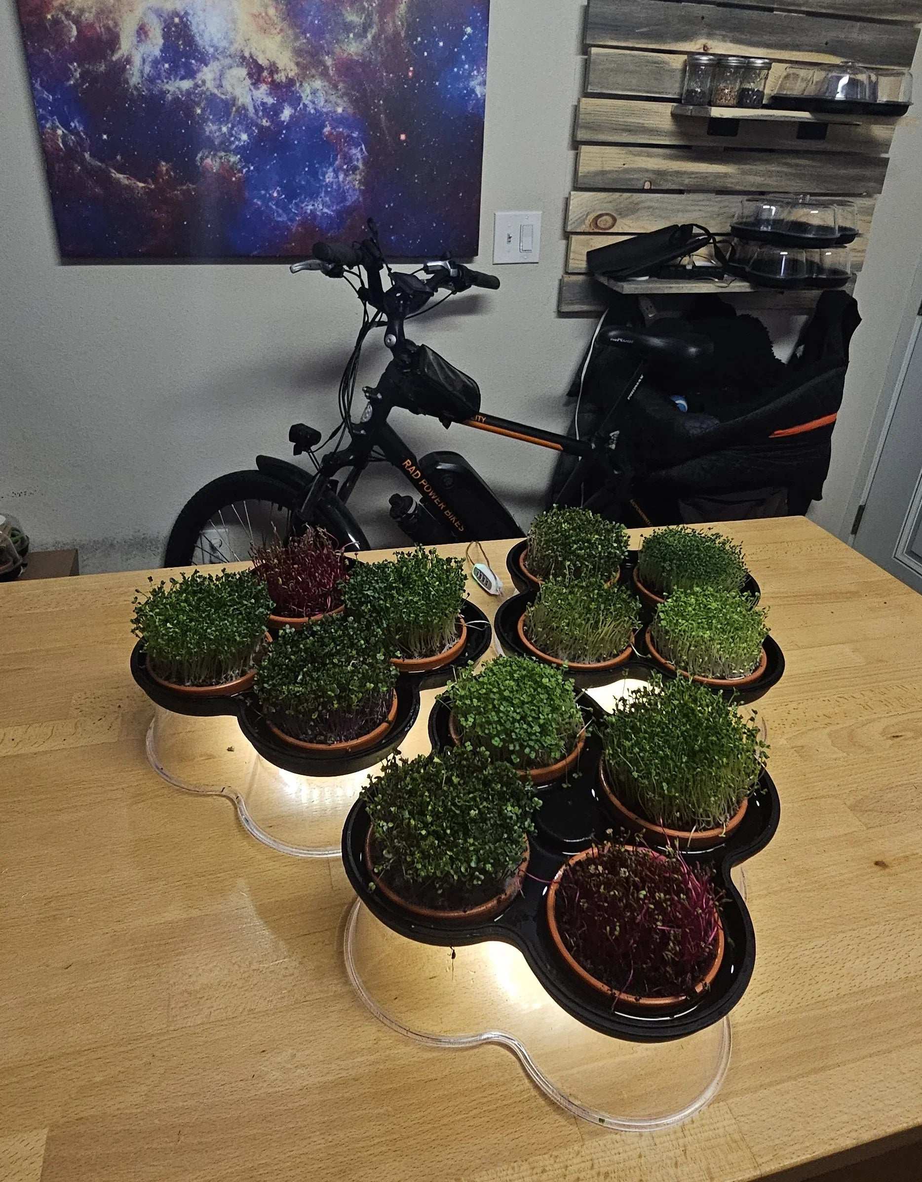 MicroGrow Duo - 2 Pod System 🌱🌱 Double the Beauty! Double the Fresh!