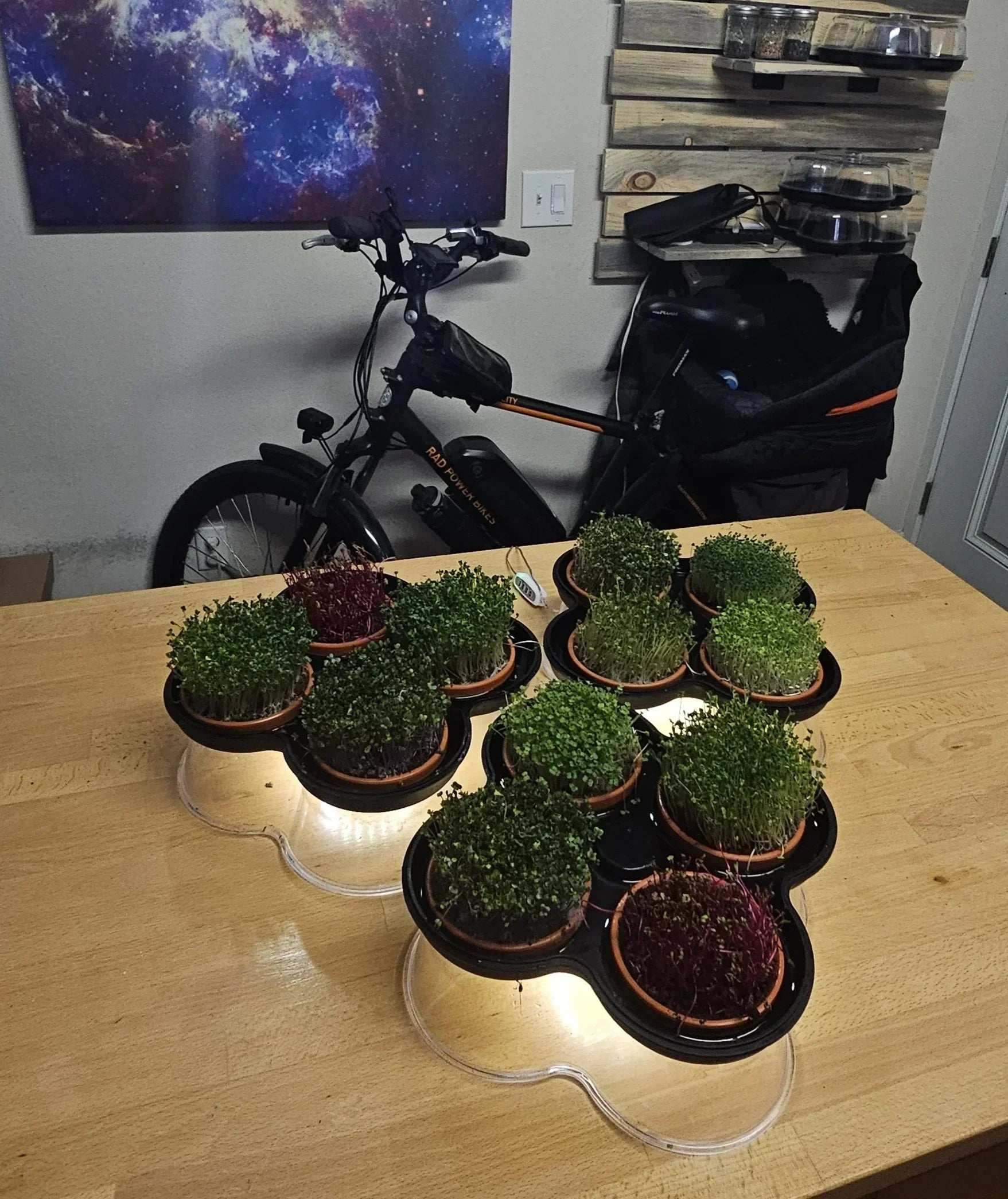 MicroGrow Solo - 1 Pod System 🌱 A Single Pod, A World of Fresh Possibilities!