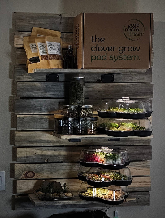 MicroGrow Duo - 2 Pod System 🌱🌱 Double the Beauty! Double the Fresh!