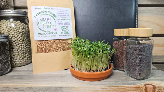 1 oz. Kale Microgreens Seeds – Superfood Greens with Powerful Nutrients