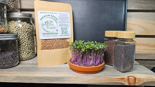 1 oz. Kohlrabi Microgreens Seeds – Mild, Crunchy & Vitamin-Packed