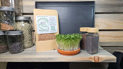 1 oz. Broccoli Microgreens Seeds – Purple Sprouting & Sulforaphane-Rich