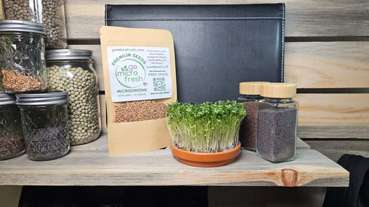 1 oz. Broccoli Microgreens Seeds – Purple Sprouting & Sulforaphane-Rich