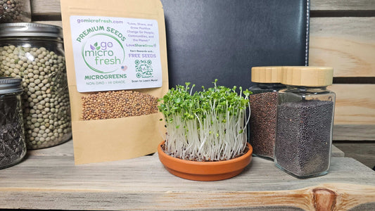 1 oz. Green Cabbage Microgreens Seeds – Fast, Fresh & Packed with Nutrients