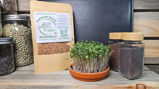 1 oz. Spicy Salad Mix Microgreens Seeds | Bold, Zesty, and Full of Life