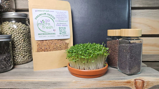 1 oz. Arugula Microgreens Seeds – Peppery, Fast-Growing & Detoxifying