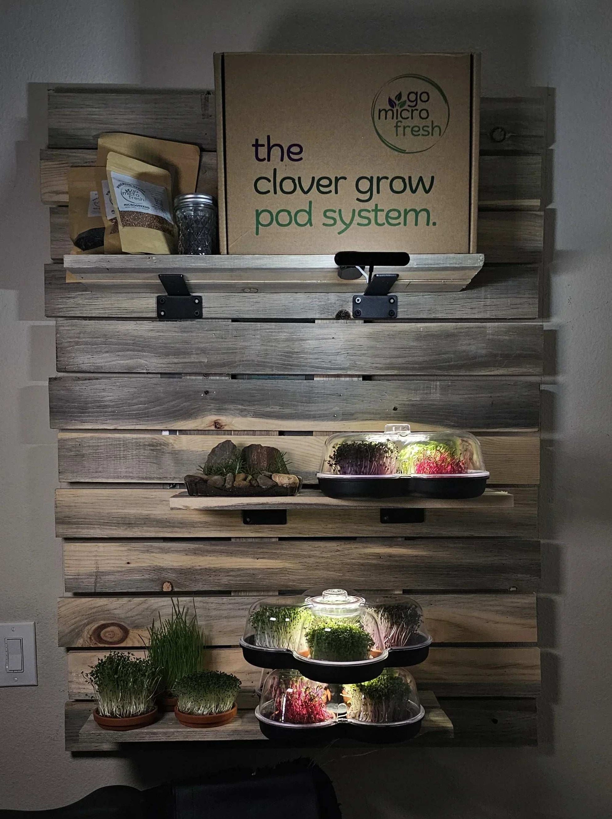 MicroGrow Solo - 1 Pod System 🌱 A Single Pod, A World of Fresh Possibilities!