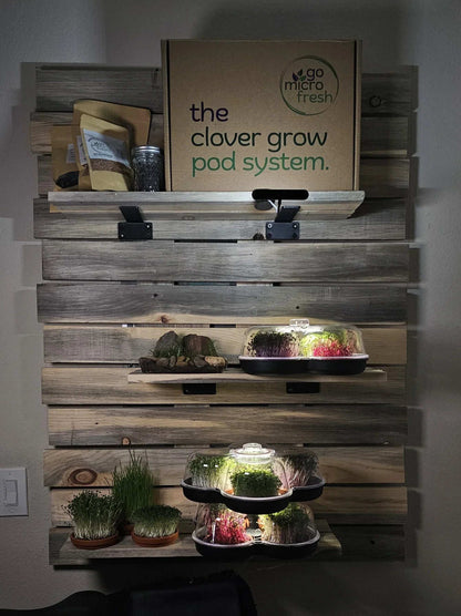 MicroGrow Solo - 1 Pod System 🌱 A Single Pod, A World of Fresh Possibilities!