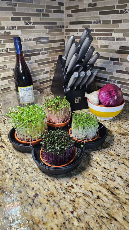 MicroGrow Solo - 1 Pod System 🌱 A Single Pod, A World of Fresh Possibilities!