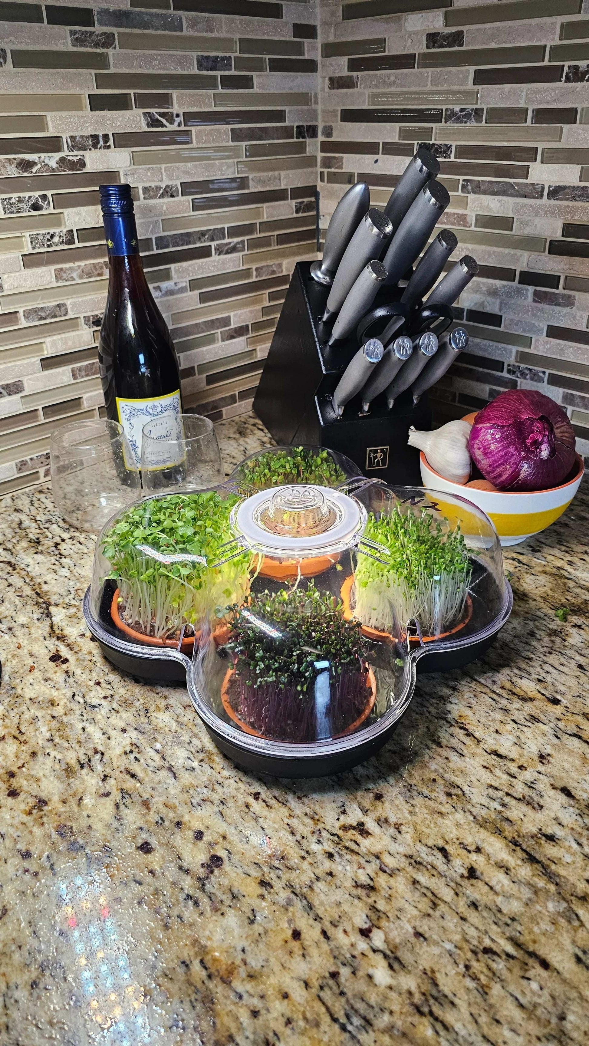 MicroGrow Solo - 1 Pod System 🌱 A Single Pod, A World of Fresh Possibilities!