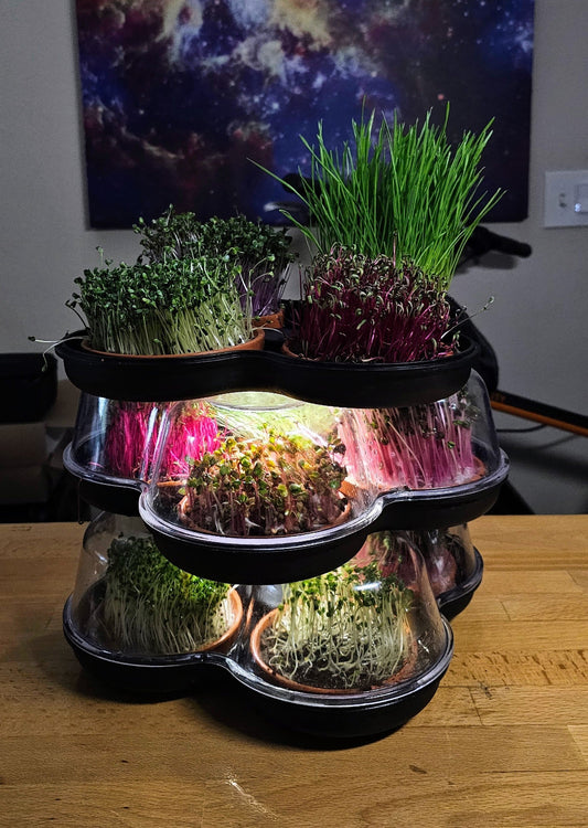 MicroGrow Trio - 3 Pod System 🌱🌱🌱 Simply Beautiful! Up Level Freshness!